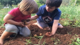 אטרקציות ופעילויות בפסח 2021